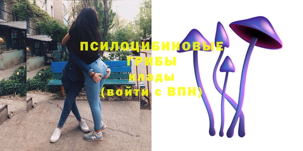 скорость Гусев