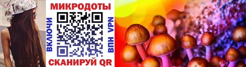 Галлюциногенные грибы MAGIC MUSHROOMS  Губкин 