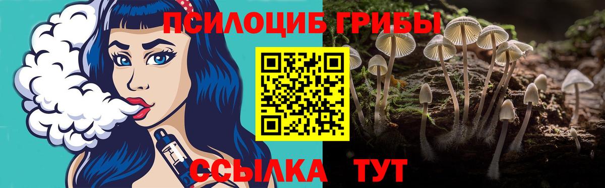 Галлюциногенные грибы MAGIC MUSHROOMS Губкин