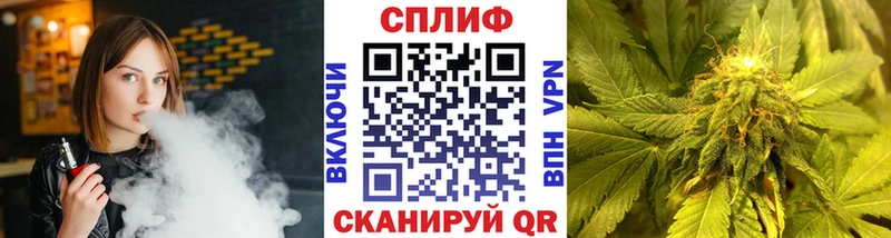 Бошки Шишки тримм Губкин
